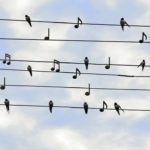 SNS発信にも効果的、伝わる魔法の3つの言葉で成約アップ!