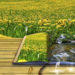 ニュープロでMPを学んだらSNS発信の質がアップして副収入が伸びる！